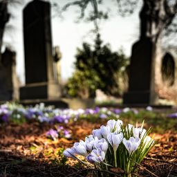 Ufficio servizi cimiteriali